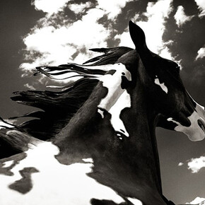 Benjamin Heller, "Cloud Horse", 2014 