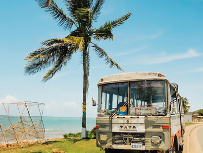 Basking in the radiant Jamaican daylight, a white and blue bus stands juxtaposed with a gently swaying palm tree against the backdrop of an expansive azure sky, creating a serene tableau that perfectly encapsulates the idyllic beauty of the Caribbean
