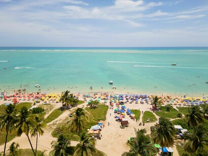 Vista aérea da Praia do Xaréu revela a extensão da faixa de areia, os coqueiros e as águas cristalinas que acompanham o litoral de Maragogi. A combinação entre mar tranquilo e natureza preservada está entre os principais atrativos do destino conhecido como Praia da Bruna