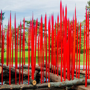 Chihuly. Courtesy of NTBG