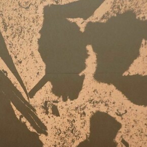 Daniel Lefcourt, Passive Surplus, 2011, Detail, Courtesy of Campoli Presti, London / Paris