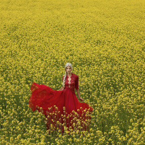 Keziban Barry, Rapeseed Stil, 2016. Courtesy of Blank Space 