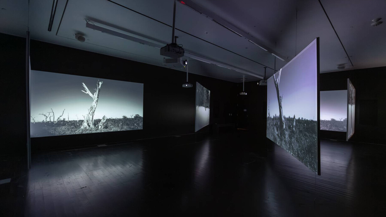 Deborah Jack, The haunting of estuaries…an (after)math of confluence, exinition view. Courtesy of MCA Denver