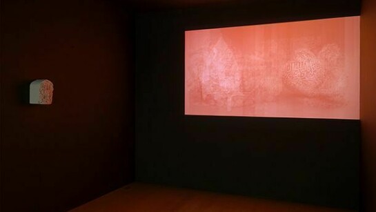 Walid Raad. Preface to the first English edition, installation view