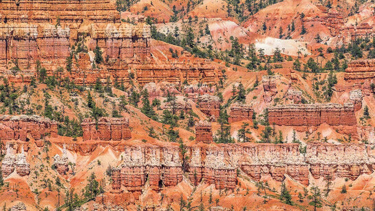 Patterns In Landscape Pattern in Landscape | Meer