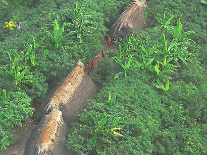 Unlock the secrets of the uncontacted indigenous tribe nestled in the heart of the Brazilian state of Acre, showcasing the resilience and authenticity of a group untouched by modern influences