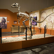 Kelvingrove Art Gallery and Museum