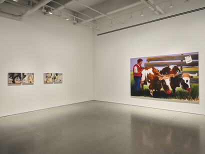 Ana Segovia, The office of inter-American affairs presents, vista de exhibición. Cortesía de kurimanzutto