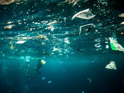 Contaminación en el mar
