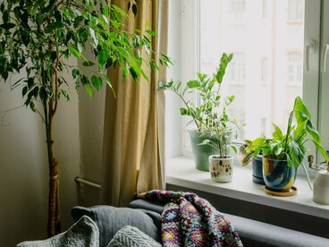 Um sofá próximo à janela divide o espaço com plantas e outros elementos decorativos, aproveitando a entrada de luz natural. É nesse tipo de ambiente que a casa deixa de ser apenas uma composição estética e passa a revelar formas particulares de viver, sentir e acolher