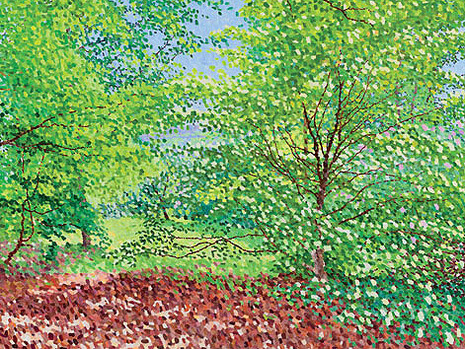 William Wilkins, Sunlight, Cornus Florida