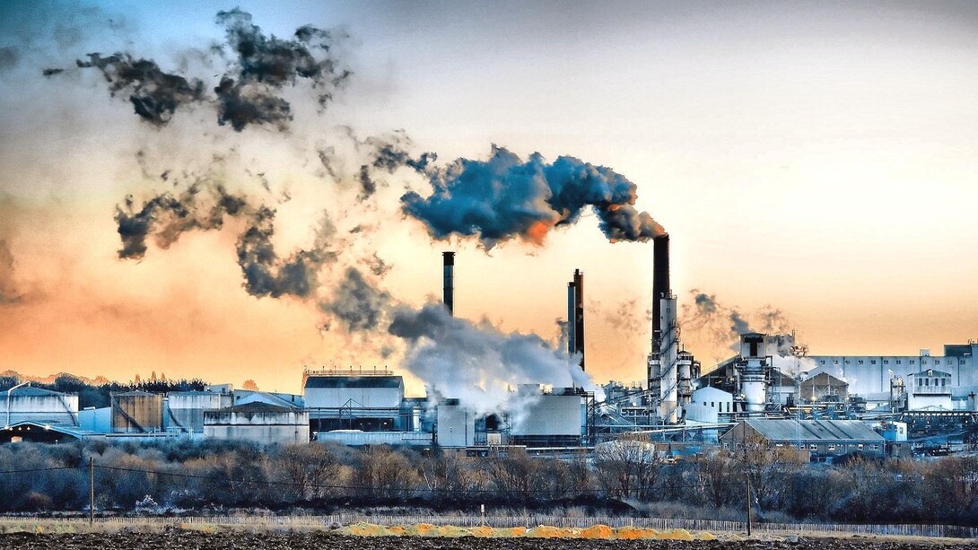 The effects of pollution