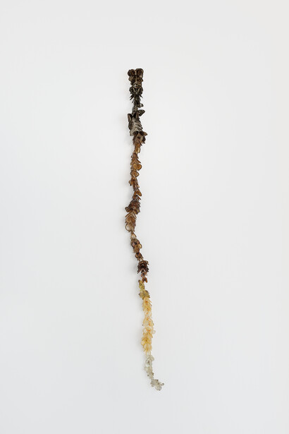 Georgia Munnik, Auto-procreation (selfing). Courtesy of Whatiftheworld 