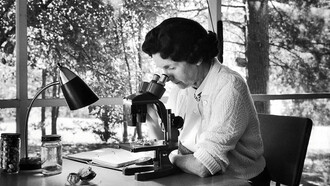 Rachel Carson, al suo lavoro scientifico e al suo pensiero si sono ispirate tutte le associazioni ecologiste