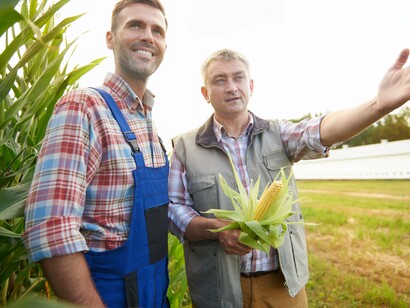 Jovem agricultor e técnico agrícola. Face a este problema, o Estado português tem vindo a desenvolver vários instrumentos para promover o conhecimento do território e incentivar o registo voluntário das propriedades. Um dos mais relevantes foi a criação do Balcão Único do Prédio (BUPi), um projeto iniciado com base na Lei n.º 78/2017, que visa permitir aos proprietários registarem gratuitamente os seus prédios rústicos e mistos, utilizando a georreferenciação como base técnica. O BUPi centraliza a informação existente nos serviços de registo, finanças e cartografia, permitindo identificar claramente os limites das propriedades e associar essa informação ao titular legal, quando possível, futuramente ainda vai ser outro problema dado as sobreposições existentes






