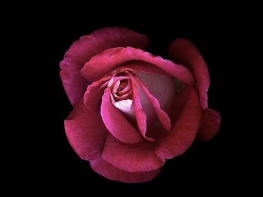 I easily choose thoughts that nourish me  