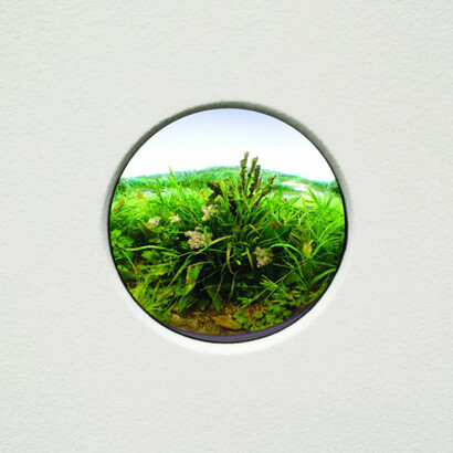 Natural Wonders. Courtesy of Brandywine River Museum of Art