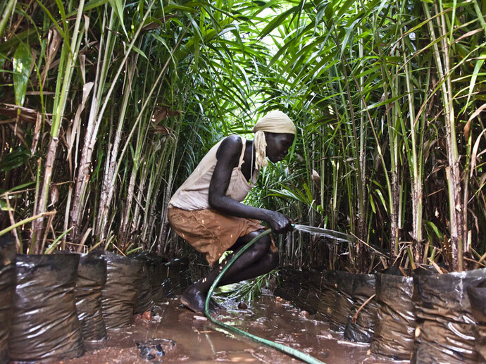 Alfredo Bini, Land Grabbing or Land to Investors?