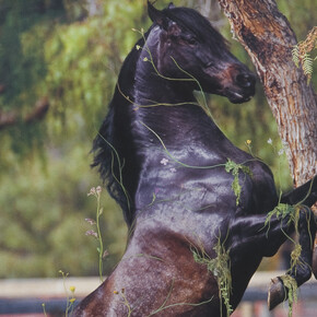 Chris Jones, Purlieu (detail), 2006, Courtesy of the artist and Vitrine