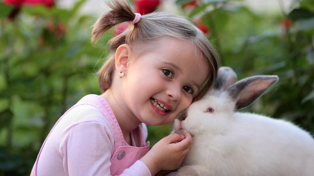Bambini e animali domestici