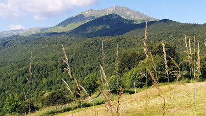 Giardino Botanico Alpino Esperia