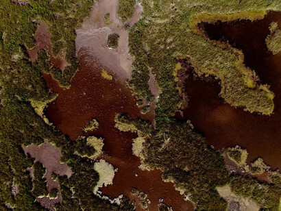 Flux and flow: the great Marsh, messages from the Marsh, part 9. Courtesy of Kingston Gallery