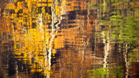 Tammy Trocki, Water Abstracts 6