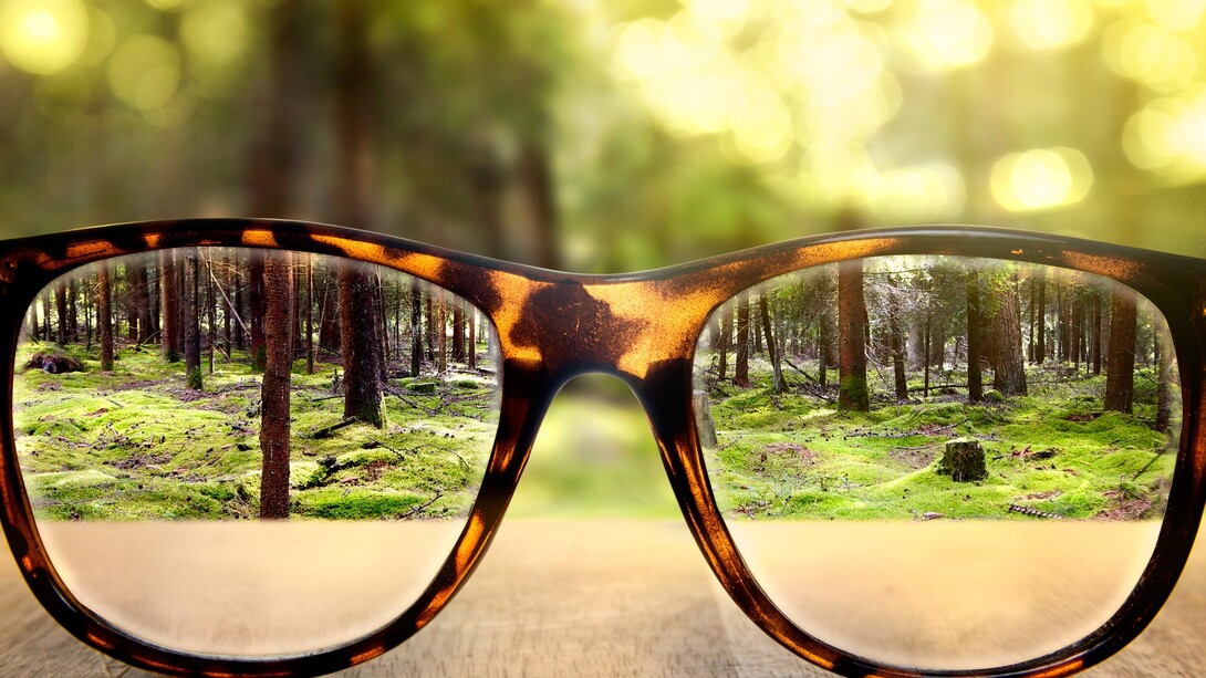 El mundo a través de unas gafas