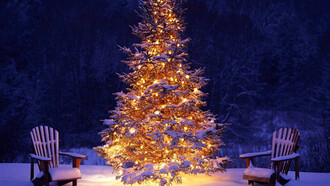 L’Albero di Natale