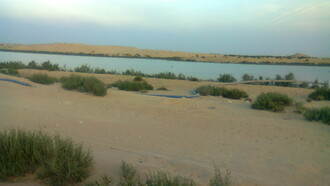 Pantanos húmedos de Arabia Saudita, 2012,  Al Jubail provincia oriental de Arabia Saudita