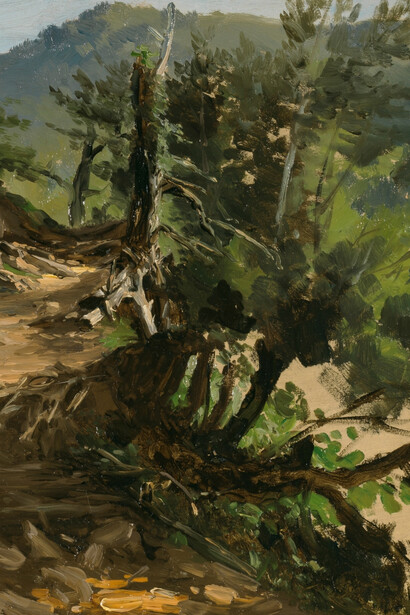 Carlos de Haes- Camino en el bosque (Asturias)