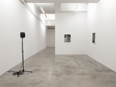 Geoffrey Farmer, Exhibition view
