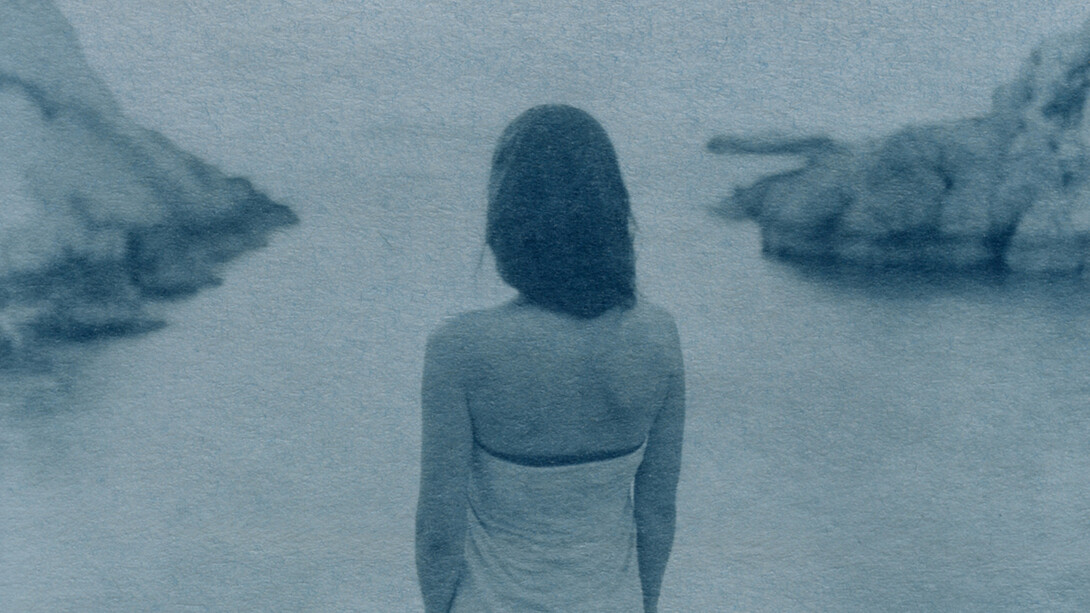 Thibaud Yevnine, Sans titre, cyanotype (detail), 2025. Courtesy of La Châtaigneraie © Thibaud Yevnine