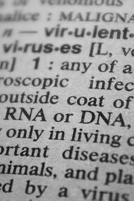Fragmento de dicionário em que se lê definições sobre RNA e DNA
