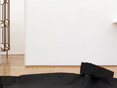 Michał Budny, Exhibition view. Courtesy of Galerie nächst St. Stephan 