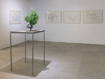 Loris Cecchini, Exhibition view. Courtesy of Galleria Continua