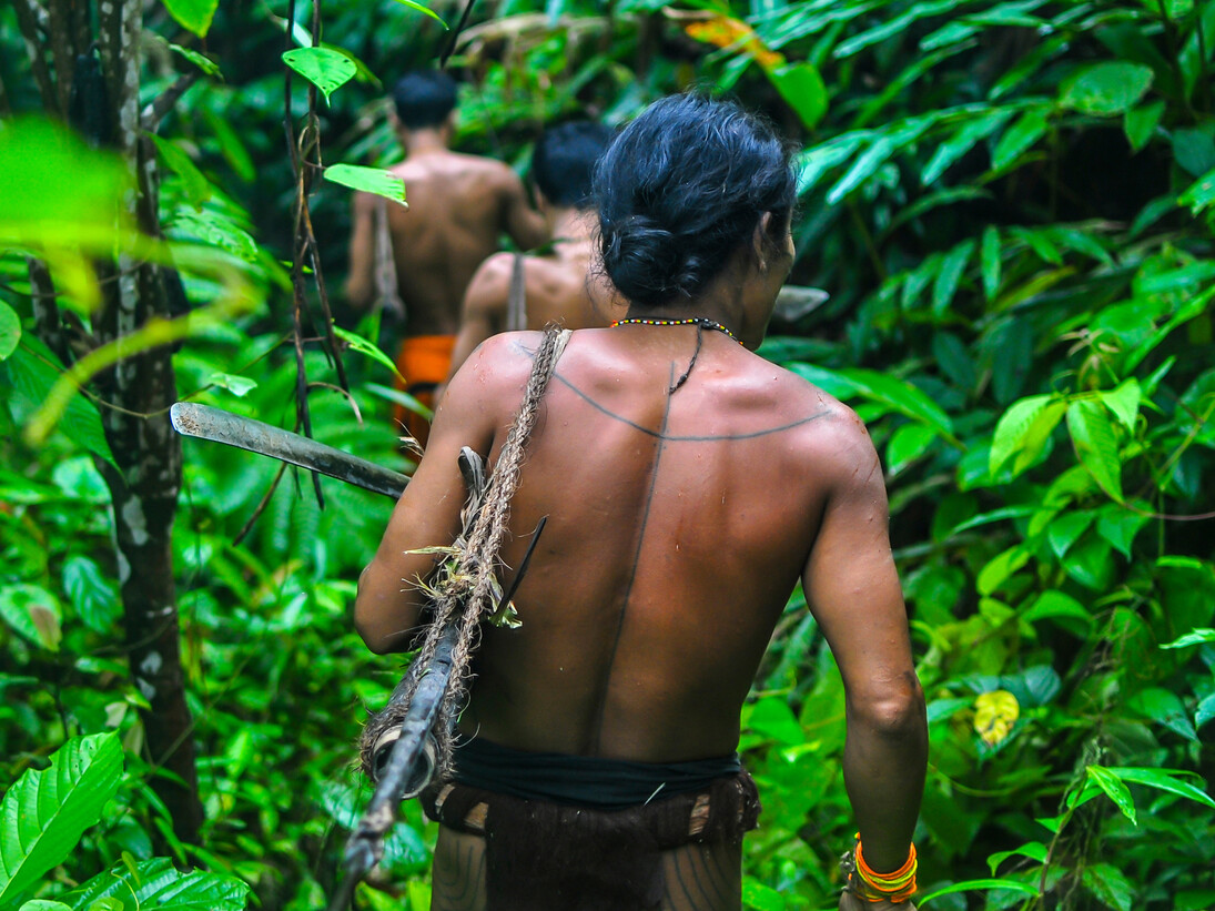 July © Fabien Astre / Survival International (Mentawai, Siberut, Mentawai Islands, Indonesia. In the forests of Siberut Island, Indonesia, the Mentawai hunt monkeys with bows and poison arrows.)