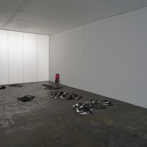 Erwin Kneihsl. Courtesy of Galerie Guido W. Baudach