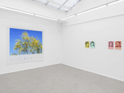 Marcel Berlanger, La disparition des limicoles, vue d'exposition. Avec l'aimable autorisation de la galerie Rodolphe Janssen