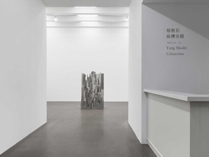 Yang Mushi, Crisscross, exhibition view. Courtesy of Galerie Urs Meile