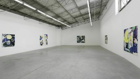 Magnus Plessen, White Cube Sao Paulo, 24 July - 24 August 2013, © Magnus Plessen, Photo: Edouard Fraipont, Courtesy White Cube