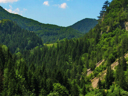 Según la narrativa gubernamental, Vučić y el primer ministro Miloš Vučević insisten en que
las protestas son un intento de golpe de Estado y que no habrá “revoluciones de color” Zaovine, Serbia