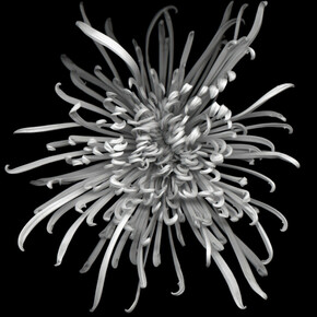 Present Moment. Courtesy of October Gallery