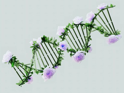 A DNA molecule flourishing with flowers , representing the balance between genetic code and epigenetic control