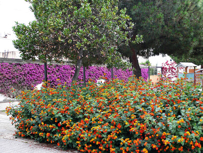 Plaza de incisa, Maigrat de Mar, Barcelona, España