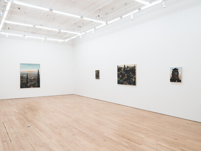 Hydeon, Eagertalis, exhibition view. Courtesy of Nicelle Beauchene Gallery