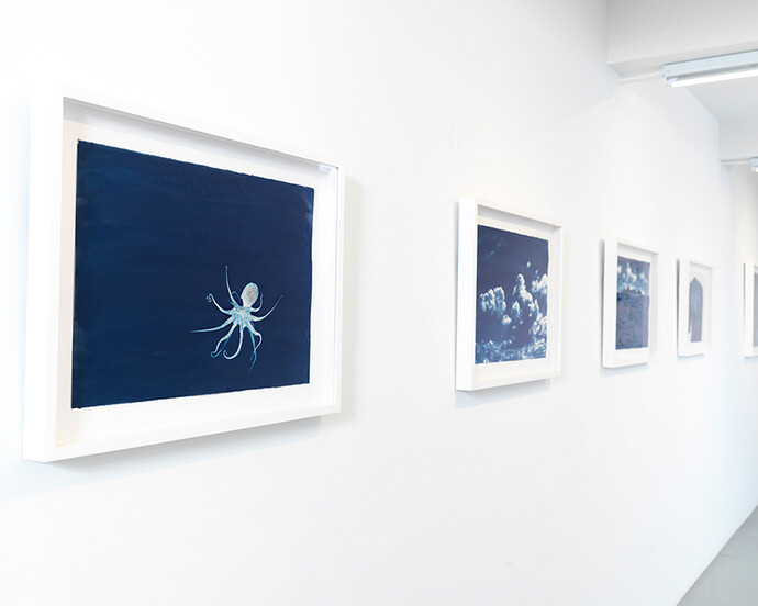 Brian Buckley, Exhibition view. Courtesy of ClampArt