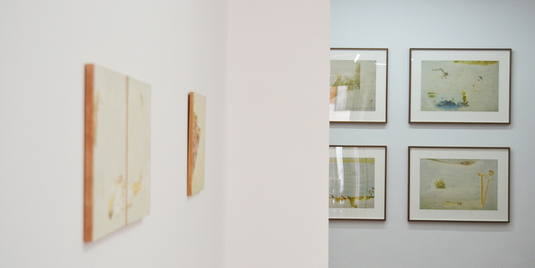 Melanie Smith. Courtesy of Galería La Caja Negra