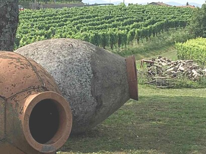 Two massive Qvervis are just doing their job amidst the backdrop of a gorgeous vinyard in rural Georgia 