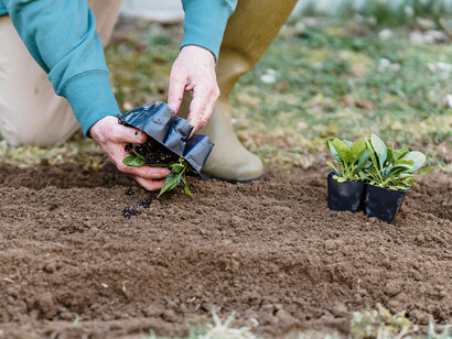 Preservare la biodiversità e garantire la sostenibilità delle risorse naturali è una missione cruciale per l'agricoltura del futuro